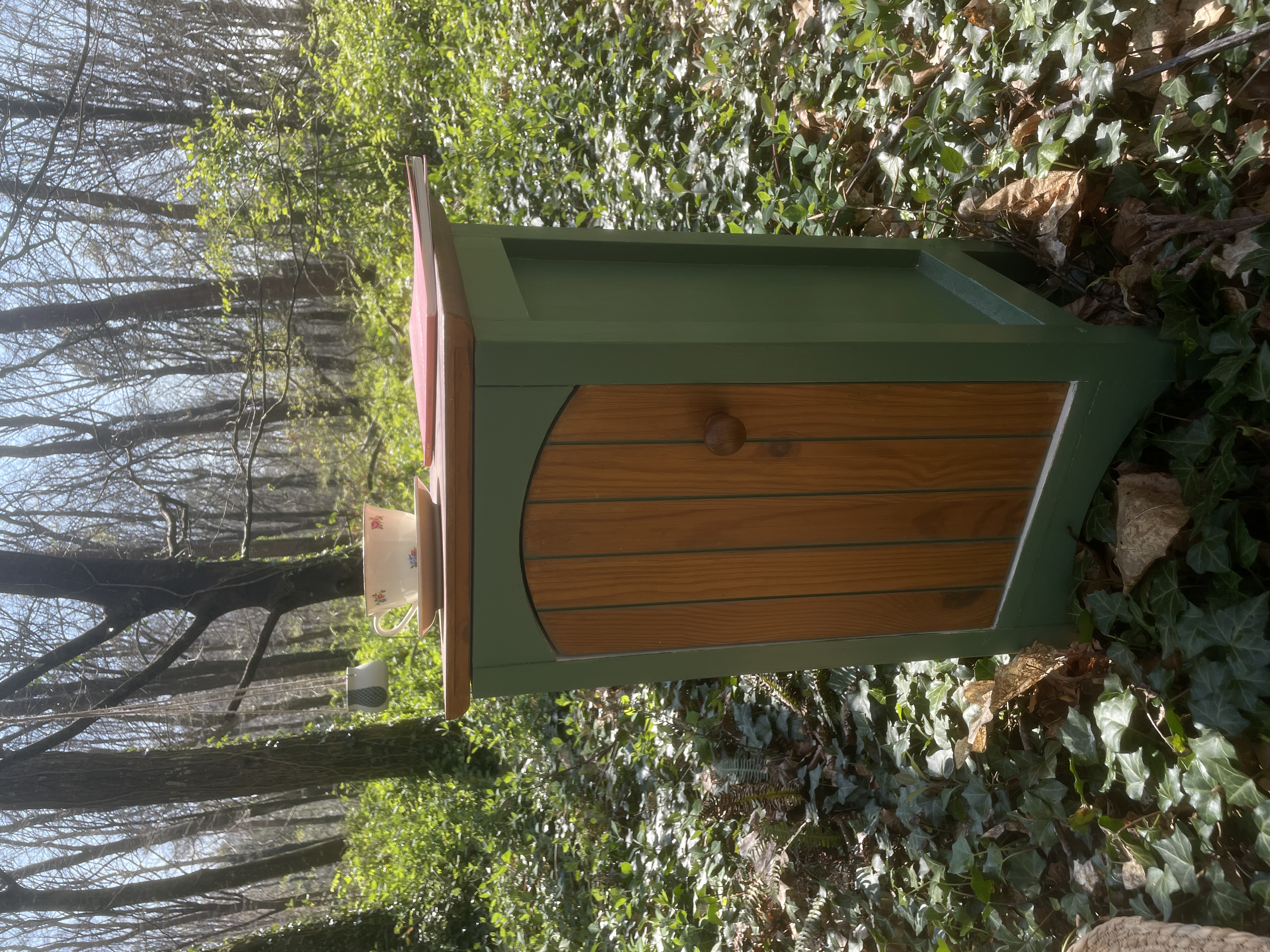 Chevet restauré en bois foncé et peinture verte, mis en scène en pleine nature avec une tasse et un livre, symbolisant une décoration durable.